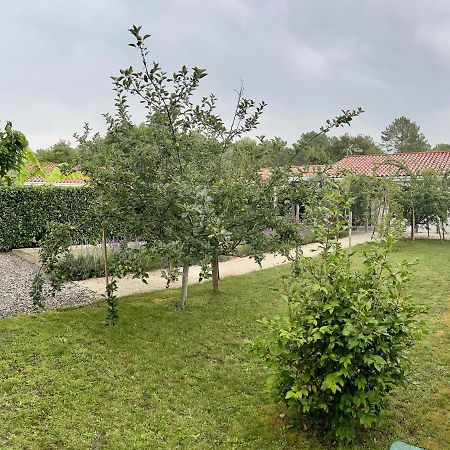 O'Pintxo Bed and Breakfast Onesse-et-Laharie Exteriör bild