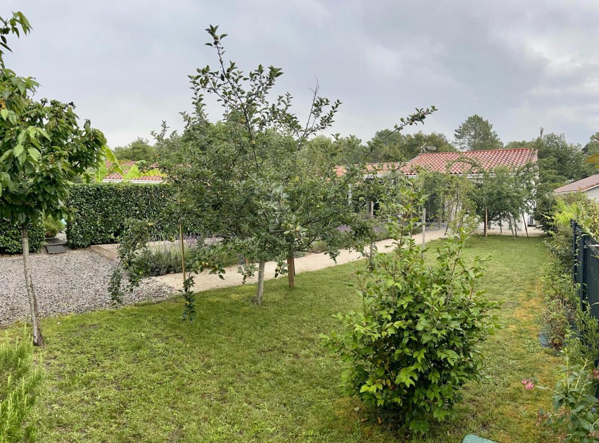 O'Pintxo Bed and Breakfast Onesse-et-Laharie Exteriör bild